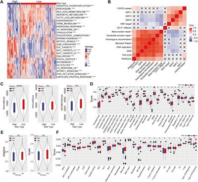 Classification molecular subtypes of hepatocellular carcinoma based on PRMT-related genes